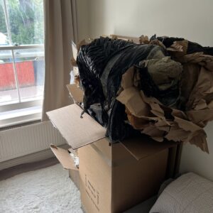 Before: boxes and bags of rubbish in a living room